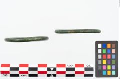 Foto von Bronzering (NHMW-PRAE-025689)